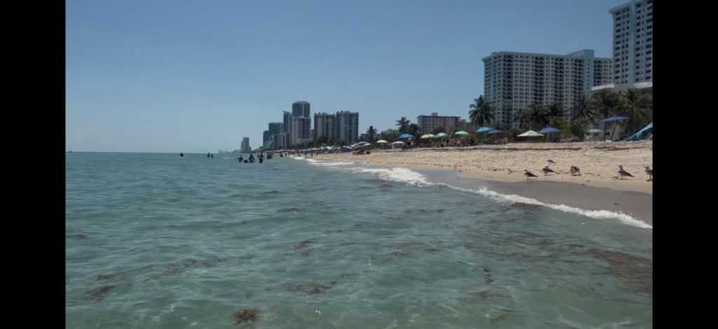 South Florida beach from the waterline turquoise Atlantic umbrellas and high-rise shoreline Hollywood Miami area