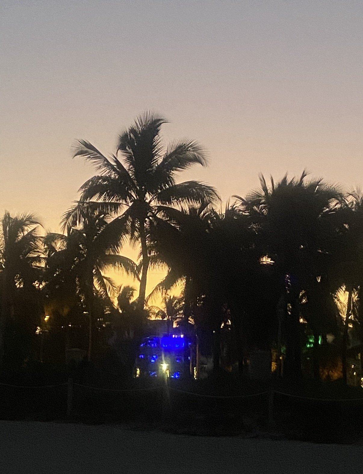 Palm trees silhouetted against a sunset sky with illuminated hotel building glowing blue and green in the background