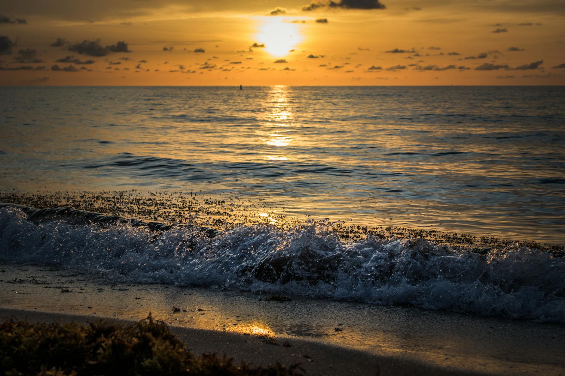 Miami, FL featured stay overview